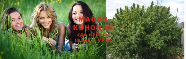 шишки Михайлов