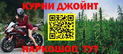 сатива Бузулук