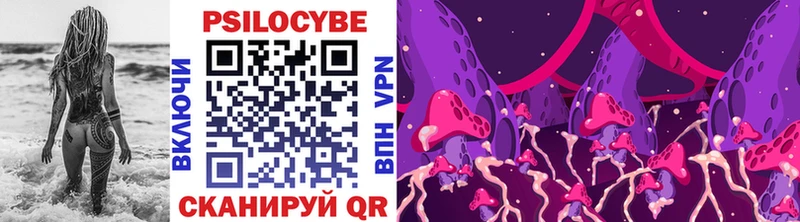 сайты даркнета наркотические препараты  Кимры  Псилоцибиновые грибы Cubensis  купить закладку 