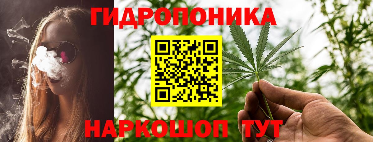 Бошки Шишки семена Кимры