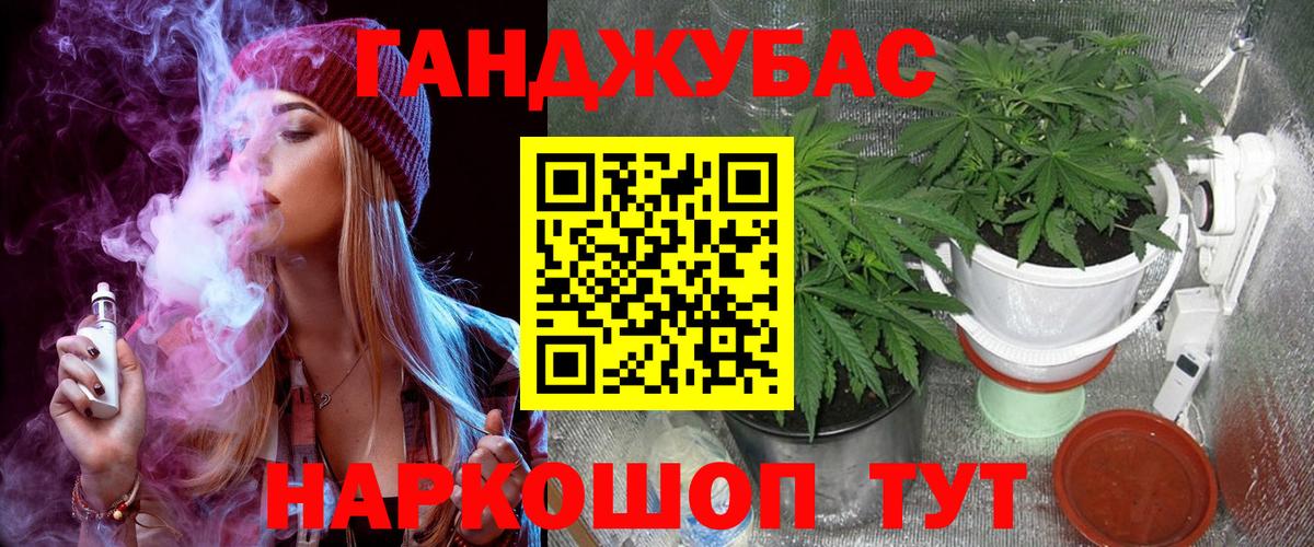 Бошки Шишки марихуана  Канабис планчик  МАРИХУАНА ГИДРОПОН  Кимры  Вход с VPN 